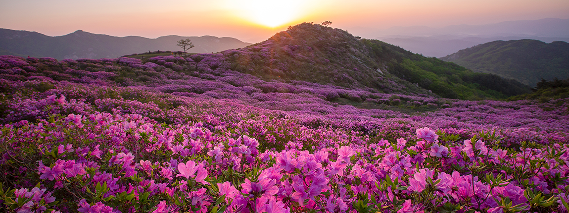 미래를 이끌어갈 민주시민을 육성하는 행복한 산청교육